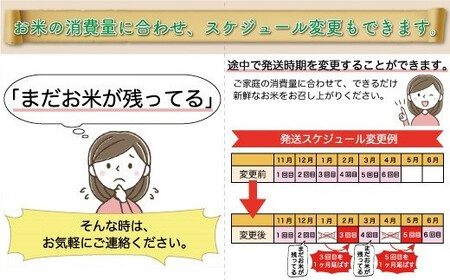 ＜令和7年産米先行受付＞ 令和8年3月下旬より発送 真室川町産 はえぬき【玄米】60kg定期便(10kg×6回)　◆YYR7H6010M-G2603C