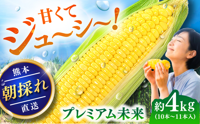 【先行予約】【2027年5月中旬より順次発送】スイートコーン(プレミアム味来) 約4kg（10〜11本）【なかむら農園】 [BHCJ004]