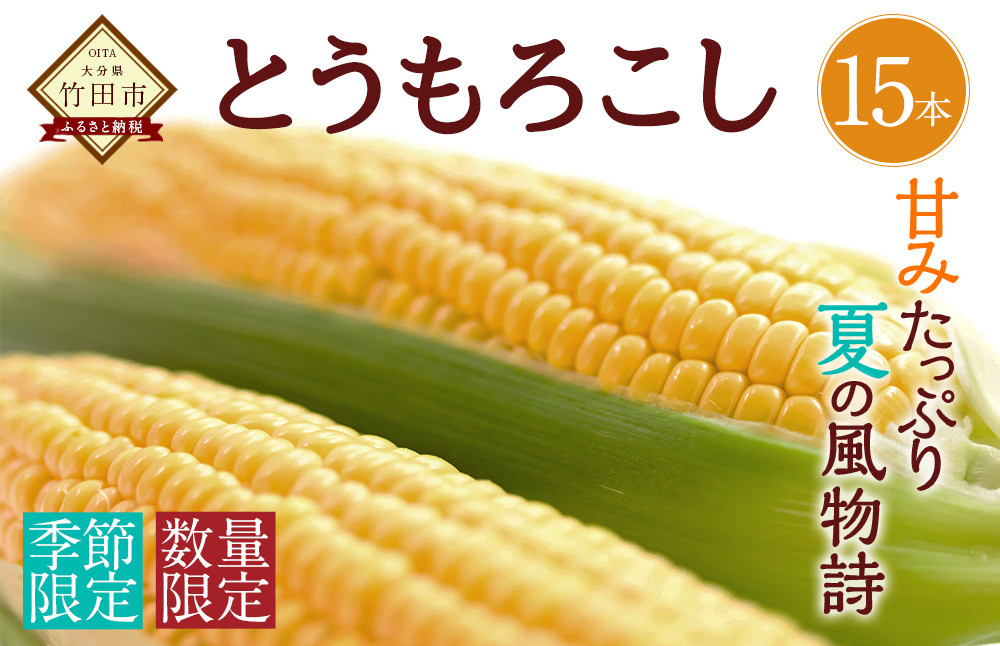 
                  【2026年7月上旬-下旬発送予定】 竹田市産 とうもろこし 15本
                