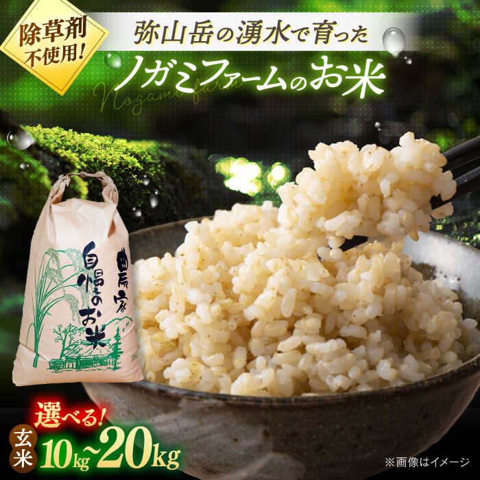 【ふるさと納税】【新米 令和7年産】玄米 弥山岳の岩清水で育ったノガミファームの お米 10kg ~20kg▼ おすすめ 人気 ランキング 高評価 国産 福岡県産 九州 米 お米 玄米 ご飯 ごはん ゴハン 精米前 未精米 農家直送 桂川町/NOGAMI FARM[ADAU008] 5000 5000 5千円