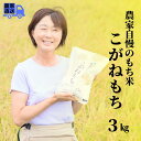 【ふるさと納税】新米 もち米【令和6年産 新米予約】新潟県 糸魚川産 『こがねもち』3kg（2升）令和6年産 つやつや ふっくら モチモチ もち米ならではの芳醇な香り 清耕園ファーム お正月 餅 赤飯 おこわ 美味しい 糸魚川 新潟米 農家自慢 もち米2升 もち米3kg 2024年