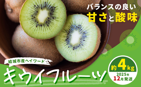 キウイフルーツ4kg《2025年12月上旬-12月末頃出荷》キウイキウイキウイ