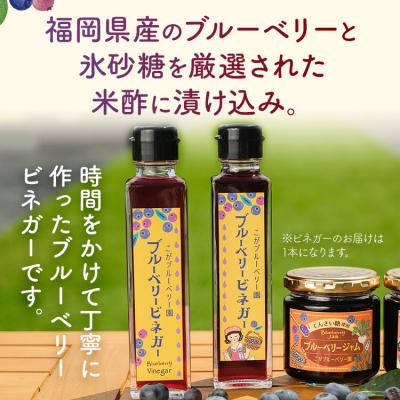 ふるさと納税 古賀市 ブルーベリージャム(2個)&ビネガー(1本)セット |  | 02