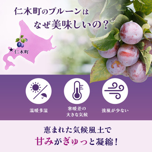 [2026年発送]【9月後半～10月発送】北海道 仁木町産 おすすめ プルーン 800g（400g×2パック） 果物類 果物 くだもの フルーツ 果物詰合せ [和田農園]