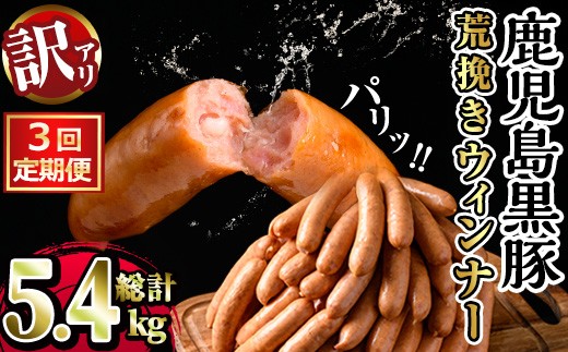 
            y569 ＜定期便・全3回＞《業務用・訳あり》鹿児島県産黒豚荒挽きウィンナー(総計5.4kg・900g×2P×3回) 国産 九州産 黒豚 豚肉 ウインナー ソーセージ フランクフルト 惣菜 おかず 弁当 BBQ キャンプ 冷凍 訳アリ【ナンチク】
          