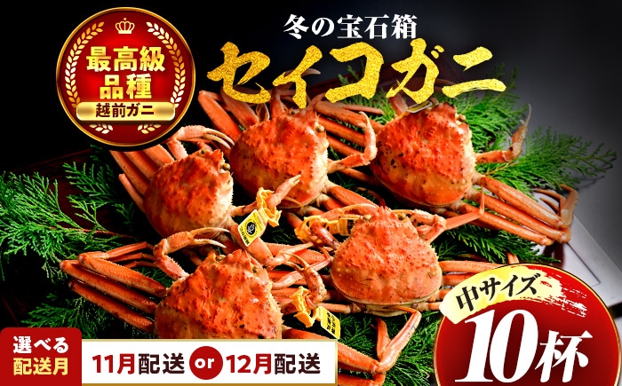 
            【先行予約】 【希望月指定可】 セイコガニ（ズワイガニのメス）中サイズ 10杯/ 越前ガニ コッペガニ せいこ蟹 ボイル 小浜市 / まるほ商店 【配送不可地域：北海道・沖縄・離島】[BFCS017]
          