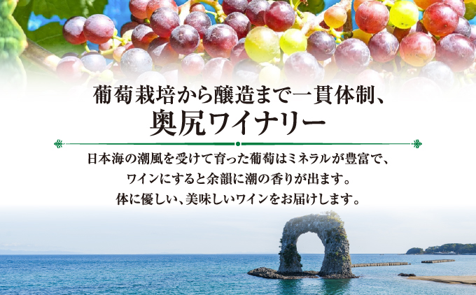 「奥尻ワイン」ピノ・グリ 辛口 1本 750ml 「OKUSHIRI Pinot Gris」 奥尻ワイナリー | ワイン 白ワイン ピノグリ オレンジピール 柑橘 ボトル ワイナリー 瓶 ワインリスト