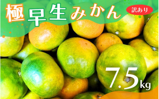 【2026年秋頃発送予約分】【訳あり】こだわりの極早生みかん 約7.5kg ※2026年10月～11月に順次発送予定（お届け日指定不可） 有機質肥料100% サイズ混合  有田産【nuk166B】