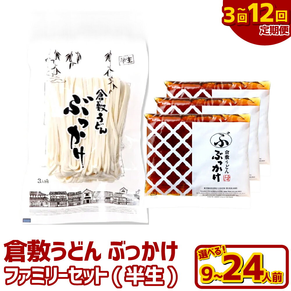 【ふるさと納税】＜選べる定期便＞『倉敷うどん ぶっかけ』ファミリーセット（半生） 1回あたり9人前 / 12人前 / 18人前 / 24人前 1ヶ月毎 3回 / 6回 / 12回 半生麺・ぶっかけうどんのたれ うどん めん 麵類 惣菜 大人数 家族 ギフト 贈答 自宅用 岡山県 倉敷市 送料無料