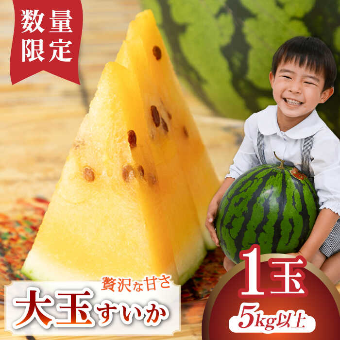【数量限定】【幻のスイカ！金色羅皇】大玉スイカ 羅皇 1玉 5kg以上 / すいか フルーツ 果物 ラオウ 黄金 / 南島原市 / ふるさと企画 [SBA071]
