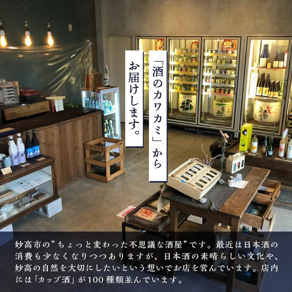 新潟県妙高飲み比べカップ酒セット(辛口セット) 10種 詰め合わせ