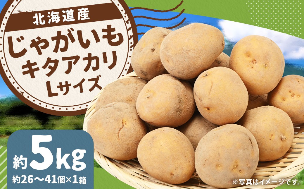 
                  じゃがいも （キタアカリ） Lサイズ 約5kg × 1箱 約5kg （JA） きたあかり 栗じゃが ジャガイモ 芋 いも 野菜 やさい 北海道 京極町 常温 【2026年9月下旬～12月下旬迄発送予定】
                
