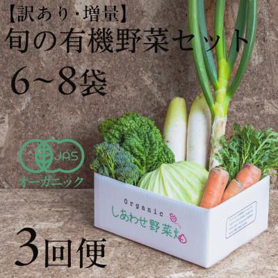 ふるさと納税 掛川市 【毎月定期便】しあわせ野菜畑のシェフS セット　(訳あり規格外の有機野菜を一部使用)全3回