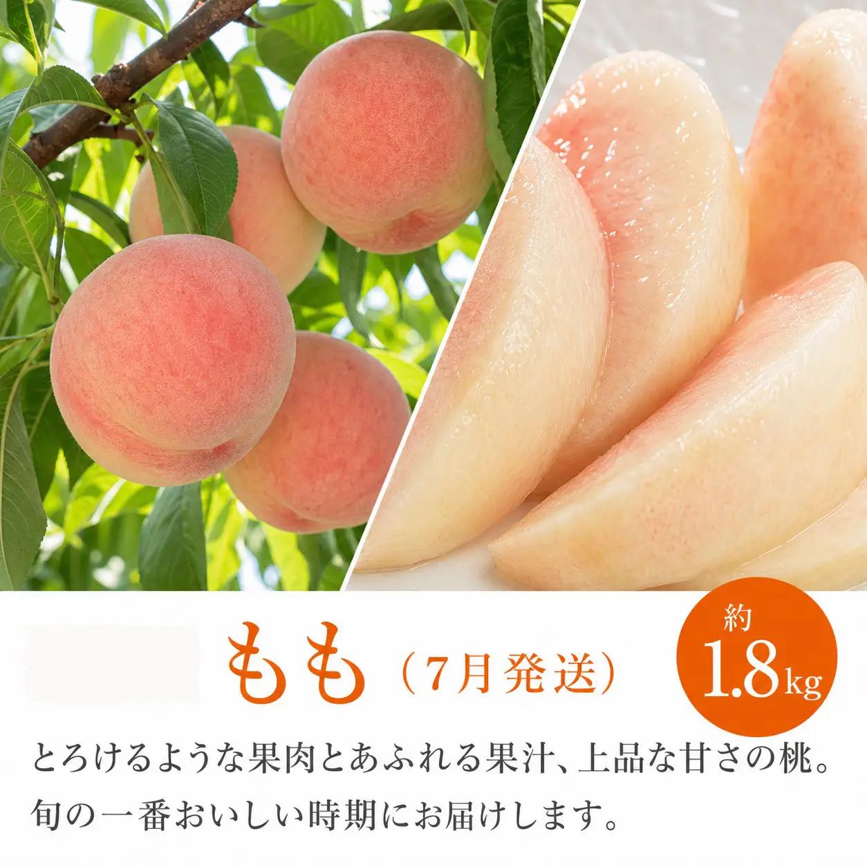 【全3回】紀州和歌山産旬のフルーツ定期便（セミノール・スイカ・桃）【5月・6月・7月】【Z-tkb453】