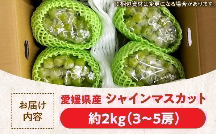 果物 フルーツ ブドウ ぶどう シャインマスカット しゃいんますかっと くだもの 葡萄 夏果物 マスカット 2kg 高級