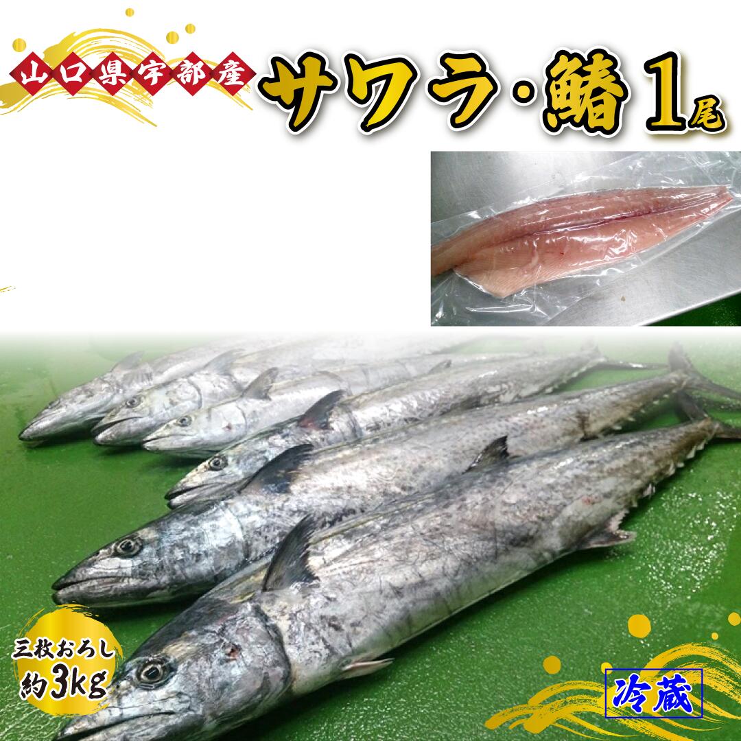 【ふるさと納税】※着日指定必須※ 《三枚おろし》 サワラ ・ 鰆 (1尾 約3kg) 【 魚 新鮮 ツマミ 刺身 塩焼き 市場直送 山口県 宇部市 】