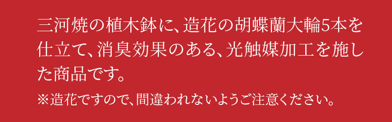 綺麗で丈夫な三河陶器で贈る光触媒胡蝶蘭大輪５本立（黒の陶器×白桜色の花）H100-079