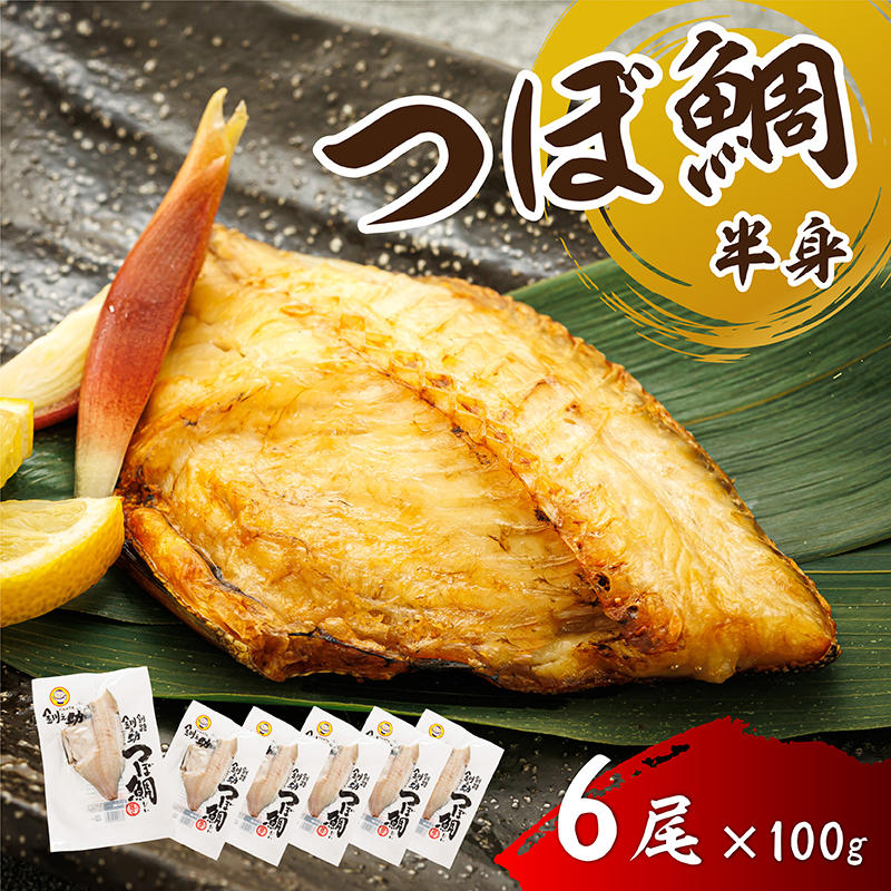 干物界の最高級魚 厳選した つぼ鯛 半身（100g×6尾）｜ ツボダイ ツボ鯛 一夜干し 干物 ひもの つぼだい 無添加 小分け 個包装 白身魚 冷凍 す 北海道 釧路町 釧路超 特産品