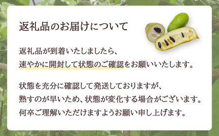 フルーツ R8 先行予約 ポポー 約1kg 4～5個 幻のフルーツ