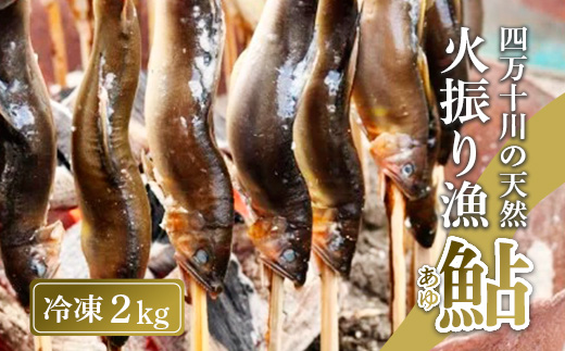 四万十川上流の天然鮎 新もの冷凍 火振り漁鮎 2kg ( 冷凍 6～22尾 ) 鮎 あゆ アユ 川魚 高知県 四万十 天然 冷凍 2kg