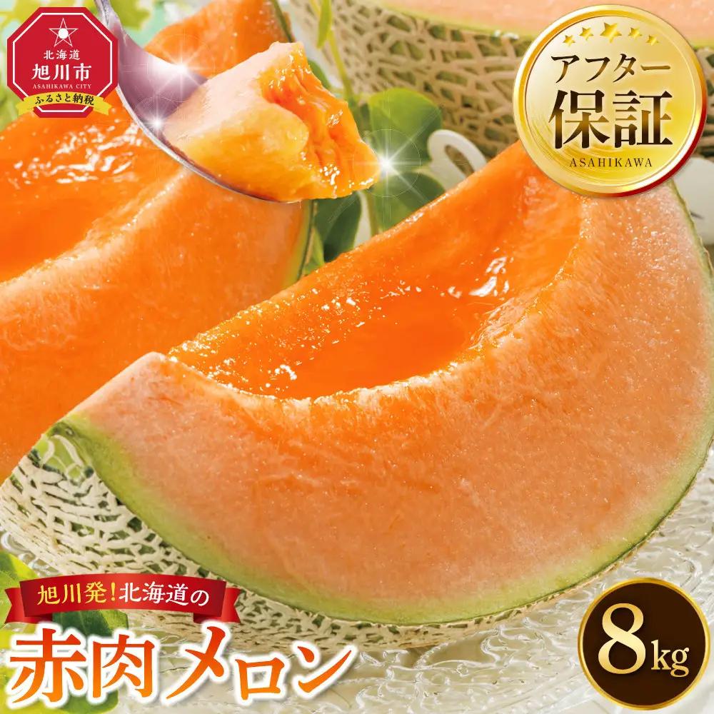 【先行予約】北海道の赤肉メロン8kg（4～6玉）2026年7月上旬から発送開始 | メロン _01103