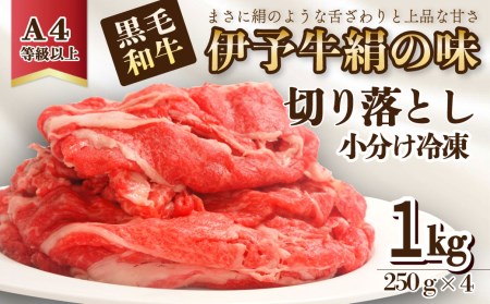 伊予牛絹の味_切り落とし250ｇ×４(冷凍)_1㎏｜黒毛和牛A4～A5 小分け 愛媛県産