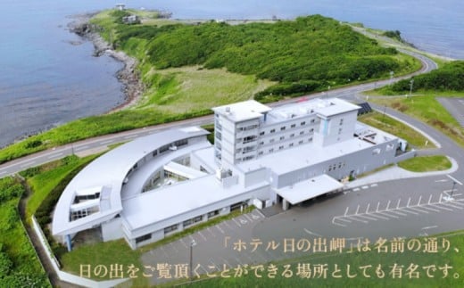 北海道雄武町　ホテル日の出岬日帰り入浴券(11枚綴）