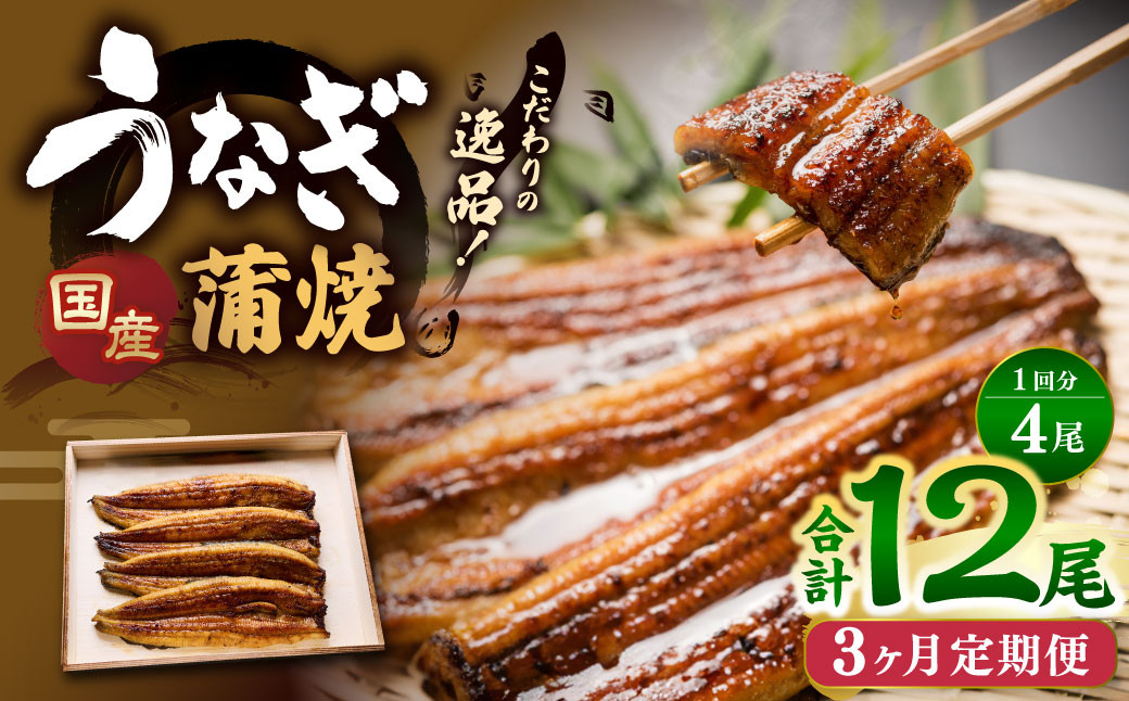 
            【3ヶ月定期便】 蒲焼きうなぎ 4尾 （国産） ／ 鰻 うなぎ ウナギ 蒲焼き 蒲焼 うなぎの蒲焼 鰻の蒲焼き たれ付き 自家製たれ 山椒 冷蔵 国産
          