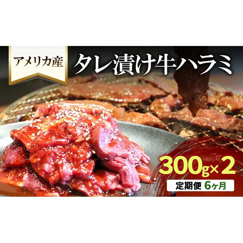 焼肉 牛ハラミ 定期便 6か月 焼肉