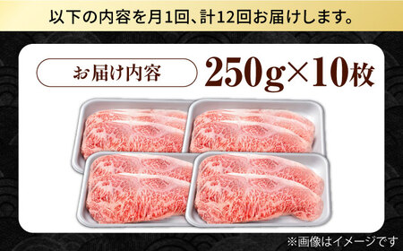 【12回定期便】佐賀県産 黒毛和牛 贅沢ロースステーキ 250g×10枚（計2.5kg）【株式会社いろは精肉店】[IAG098]