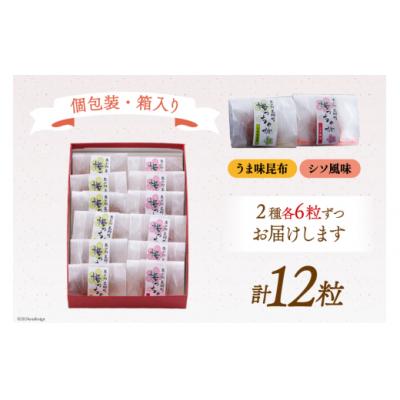 ふるさと納税 美郷町 南高梅 梅干し 美郷梅 一粒入り うま味昆布 & シソ風味 各6粒 3Lサイズ [31ab0101] |  | 02