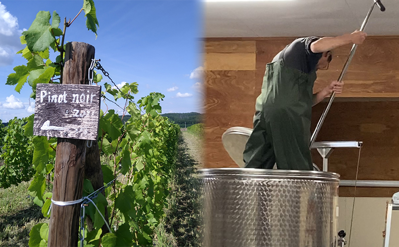 【野生酵母】かみふらの 多田ワイナリー 赤白ワイン 計4本　ワイン 赤ワイン 白ワイン 飲み比べ セット ぶどう 葡萄 ワイナリー 酒 北海道 上富良野町