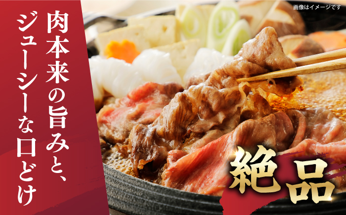 【厳選部位】 【A4～A5】 長崎和牛 サーロイン しゃぶしゃぶ すき焼き 用 約600g（300g×2p）＜株式会社MEAT PLUS＞ [CFT010]