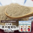 【ふるさと納税】調味料 計120g 干ししいたけ 粉末 小分け 国産 九州産 原木椎茸 天然 味の素 40g×3袋 パウダー グアニル酸 味噌汁 焼肉 パスタ マヨネーズ ケチャップ ドレッシング かけるだけ 延岡市 お取り寄せ 食品 常温 送料無料