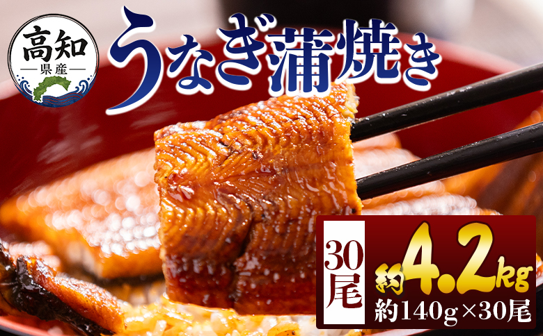 高知県産蒲焼きうなぎ 約１４０ｇ ３０尾 計約４２００ｇ fb-0183