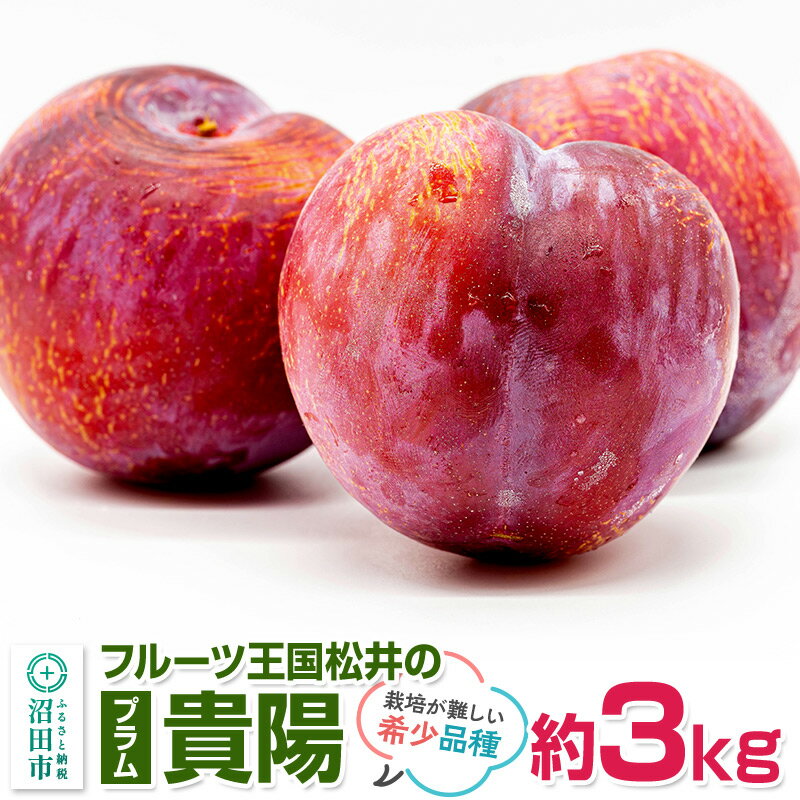 【ふるさと納税】《8月上旬〜8月中旬にお届け》 高級プラム「貴陽」約3kg サイズ不揃い ご自宅用 フルーツ王国松井 [夏の味覚 夏の果物 夏のフルーツ すもも スモモ sumomo ぷらむ プラム 旬物]
