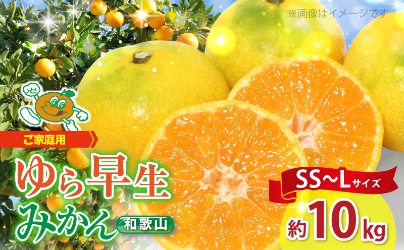 ZJ1016n_【2025年先行予約】【ご家庭用 極早生】和歌山 有田ゆら早生みかん 約10kg (SS、S、M、Lサイズ)【湯浅町】
