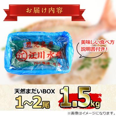 ふるさと納税 東串良町 鮮度が命!鮮魚問屋が厳選した『天然真鯛』(1-2尾・総量約1.5kg以上) 【0203205a】 |  | 02