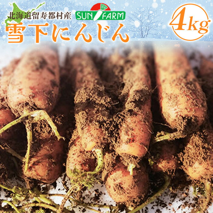 【ふるさと納税】雪下にんじん 4kg 人参 にんじん ニンジン 越冬 オンライン 申請 ふるさと納税 北海道 留寿都 野菜 春 旬野菜 季節野菜 甘い フルーツ みずみずしい 産地直送 新鮮 採れたて サラダ カレー おかず 4キロ 留寿都村【2400401】