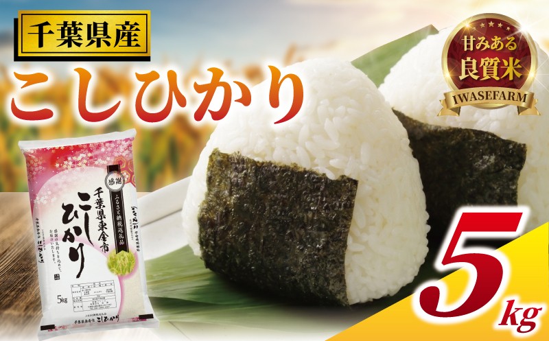 
                  コシヒカリ 5kg 米 お米 こめ コメ こしひかり 7年度産 千葉県産 kome okome 精米 白米 ご飯 ごはん 米 ごはん 備蓄米 国産 炊飯 ※ ブランド米 甘い ツヤ ギフト 贈答 甘み 粘り 香り リピート 冷めても美味しい kosihikari 農家直送 数量限定 産地直送 有限会社岩瀬 千葉県 東金
                