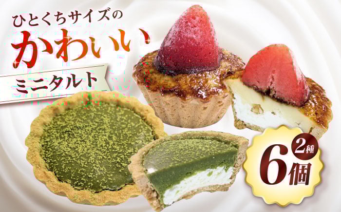 
            ミニタルト 6個入り(2種3個ずつ) お菓子 スイーツ タルト タルト生地 お菓子 洋菓子 スイーツ おかし おやつ　タルト いちご ブリュレ 抹茶 大阪府高槻市/無人屋 [AOCX019]
          