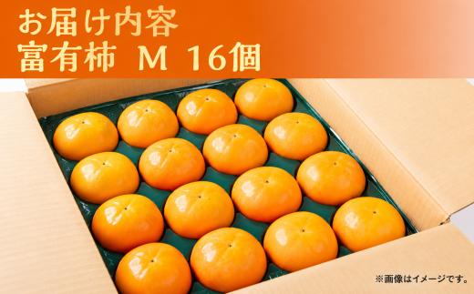 【2026年11中旬～発送】令和8年産 富有柿  Mサイズ 16個入り 秋冬フルーツ 旬の果物 くだもの ふるーつ  フルーツ   おまかせ 柿 かき フルーツ かき ふゆうがき 果物  旬の果物 産