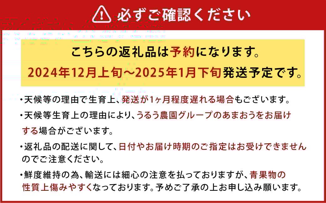 【アフター保証】うるう農園 あまおう DX等級 2パック （約570g）【2024年12月上旬～2025年1月下旬発送予定】 いちご イチゴ 苺 フルーツ 果物
