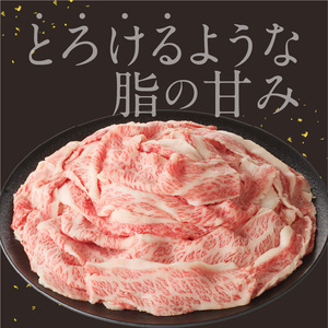 【訳あり】佐賀牛切り落とし1000g（500g×2パック）（6月配送）【B112-06】