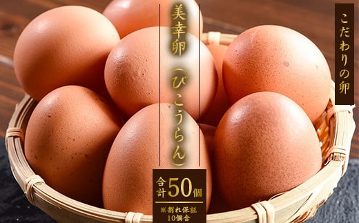 【2025年6月10日頃発送分】濃厚たまご 「美幸卵」 計50個 （割れ保証10個含む）山形産 【 お取り寄せ 国産 玉子 たまご タマゴ エッグ 新鮮 TKG ごはん ご飯 すき焼き すきやき パティシエ 御用達 スイーツ 朝食 お菓子 東北 山形県 寒河江市 板垣養鶏場 】　013-G-BK006-06