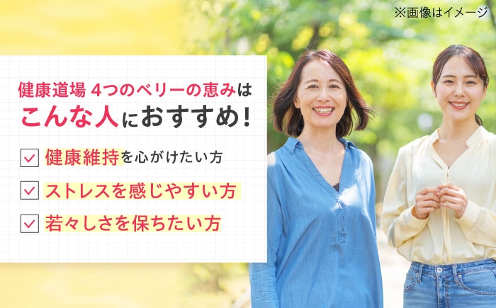 健康飲料 野菜飲料 野菜ジュース 無添加 果物 栄養バランス ベリー 大容量