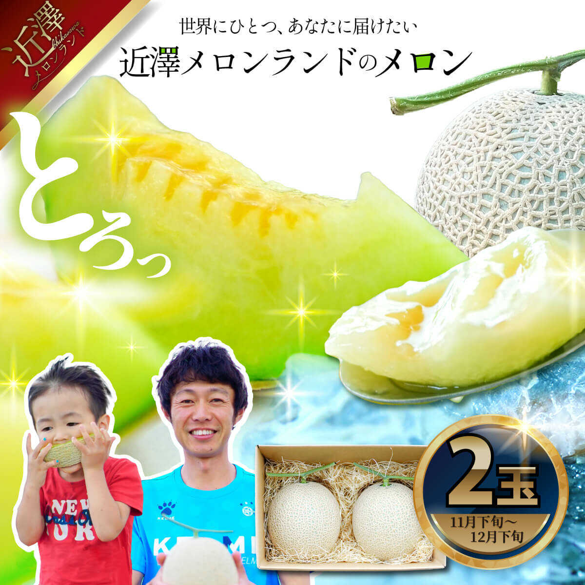 【ふるさと納税】【先行予約】 メロン 2玉入り（1玉約1.4kg〜1.8kg）〈2026年11月下旬～12月末頃発送〉 メロン フルーツ 高知 土佐市 お取り寄せ 国産 産直 高知県土佐市/株式会社とさもん[BQAE023]