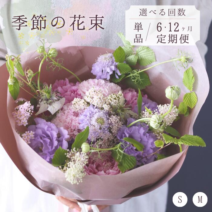 【ふるさと納税】【選べる定期便】 季節の 花束 花 定期便 単品 6カ月 12カ月 Sサイズ Mサイズ 生花 お花 インテリア 玄関 リビング 記念日 誕生日 お祝い ギフト プレゼント 全国発送 送料無料 冷蔵 花器なし おすすめ かわいい 【お届け日指定不可】