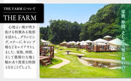 おふろcafeかりんの湯　平日限定フリータイム利用券6枚  TFM011