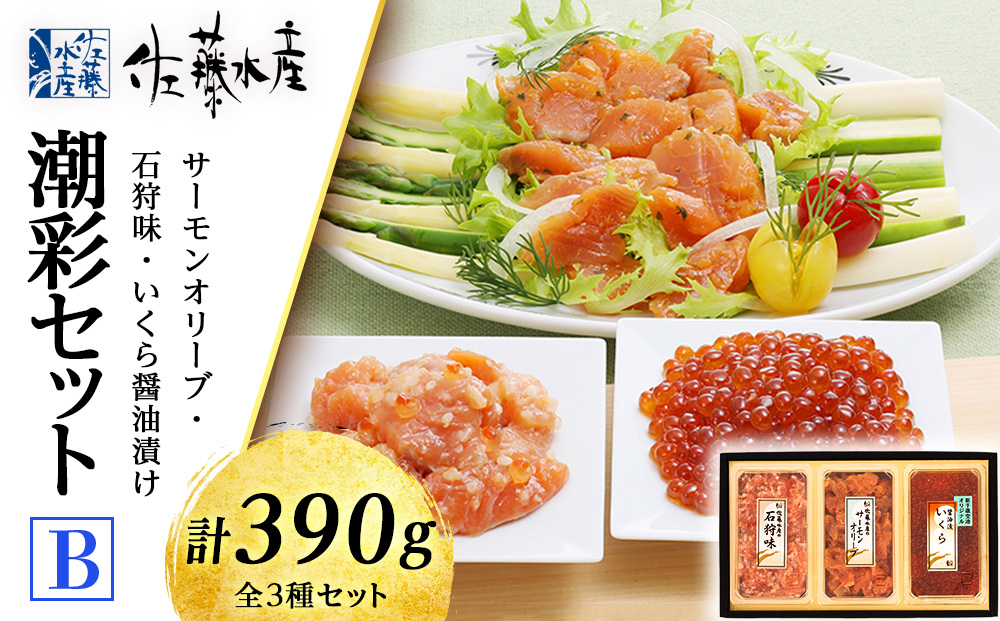 佐藤水産 潮彩セットB(サーモンオリーブ・石狩味・いくら醤油漬)